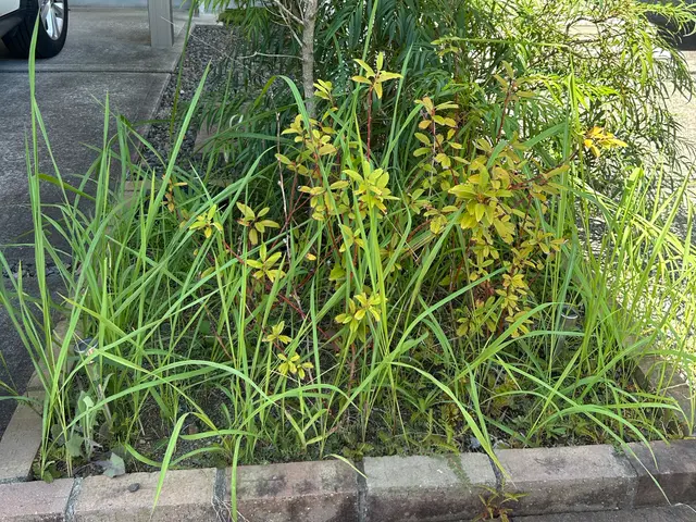 プロの技術でご満足いただけるように心を込めて作業いたしますサービスの画像