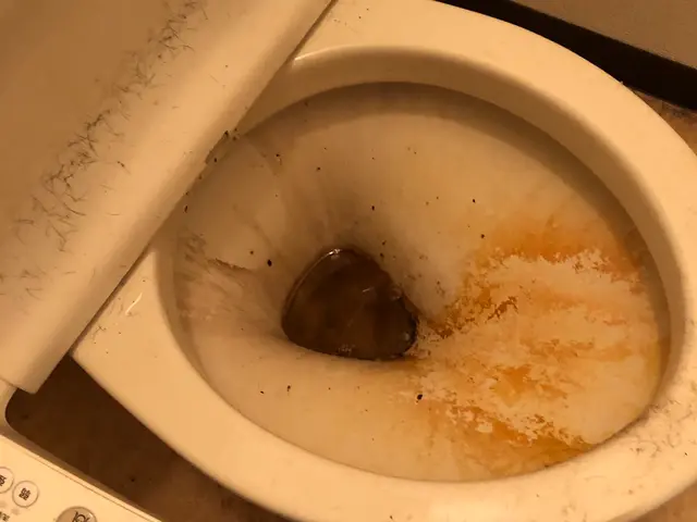 トイレクリーニング★撥水コート無料サービスの画像