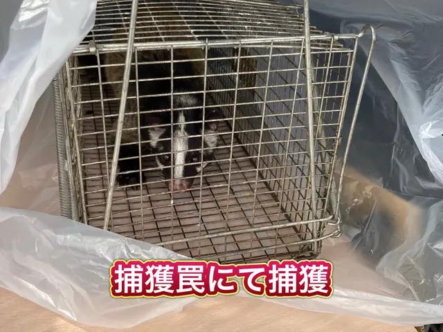 【担当案件数1万件以上】大手消毒会社に10年在籍／即日対応も可／見積り調査無料！サービスの画像