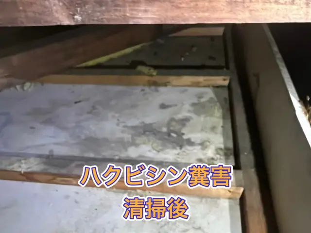 【担当案件数1万件以上】大手消毒会社に10年在籍／即日対応も可／見積り調査無料！サービスの画像