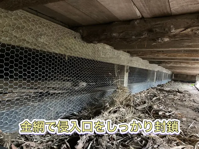 【担当案件数1万件以上】大手消毒会社に10年在籍／即日対応も可／見積り調査無料！サービスの画像