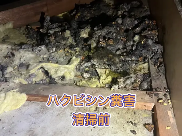 【担当案件数1万件以上】大手消毒会社に10年在籍／即日対応も可／見積り調査無料！サービスの画像