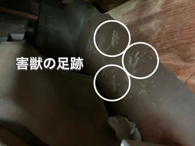 【担当案件数1万件以上】大手消毒会社に10年在籍／即日対応も可／見積り調査無料！サービスの画像