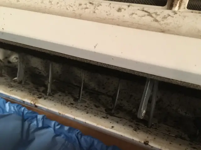 エアコンクリーニング / 壁掛けタイプサービスの画像