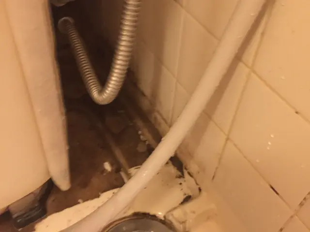 【コロナ対策実施店】エプロン高圧込！1級資格！リピート率、満足度の実績で表彰サービスの画像