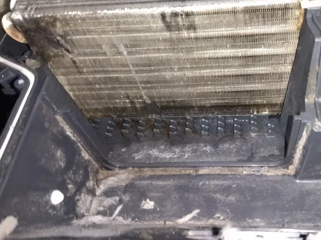 【ドラム洗濯機クリーニング】最近乾燥機能が弱くなって洗濯物が乾かない人はこちら！サービスの画像