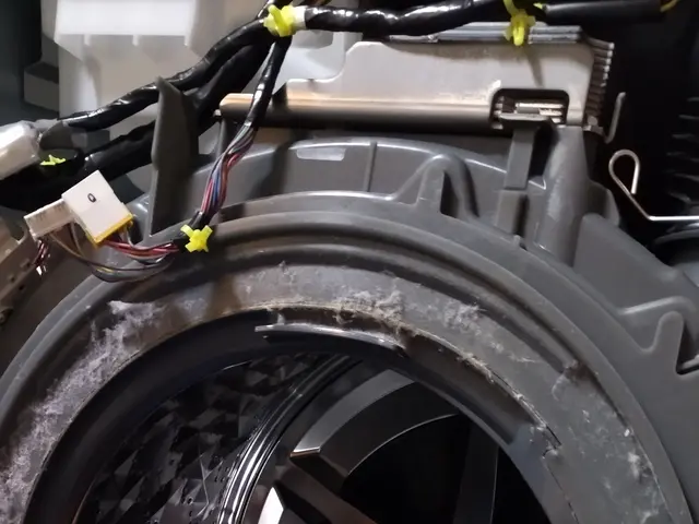 【ドラム洗濯機クリーニング】最近乾燥機能が弱くなって洗濯物が乾かない人はこちら！サービスの画像