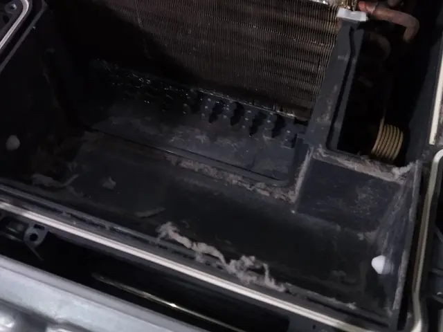 【ドラム洗濯機クリーニング】最近乾燥機能が弱くなって洗濯物が乾かない人はこちら！サービスの画像