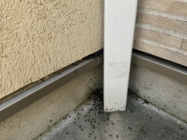 駆除12年目！駆除と誠実さに絶対の自信あり！ご自宅に他人をあげる不安なくします！サービスの画像