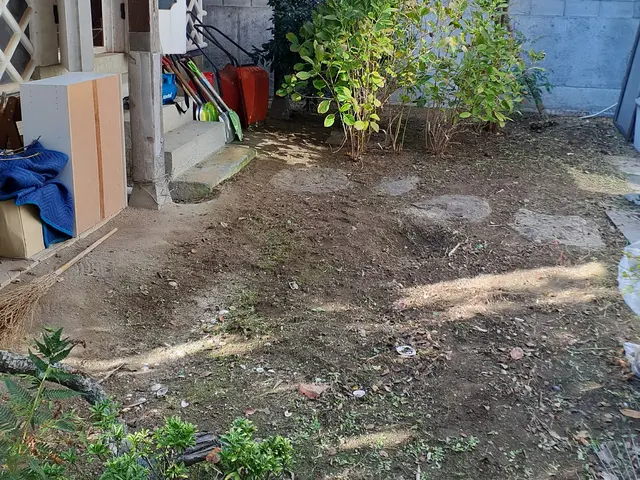 道具と手で草抜きします　草刈機は使いませんサービスの画像