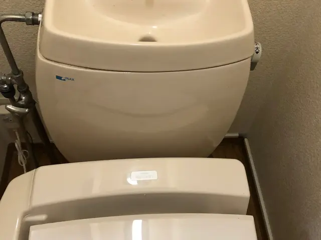 深呼吸できるトイレクリーニング一式（除菌仕上げ）サービスの画像