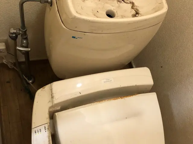 深呼吸できるトイレクリーニング一式（除菌仕上げ）サービスの画像