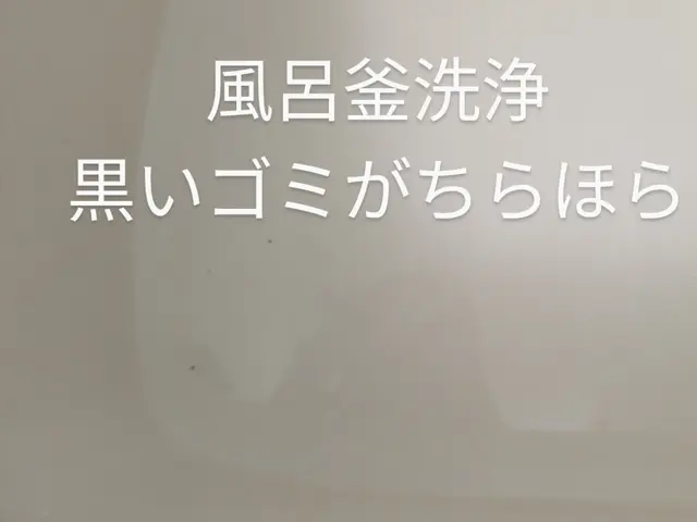 配管を綺麗にして快適なバスタイム♪♪♪サービスの画像