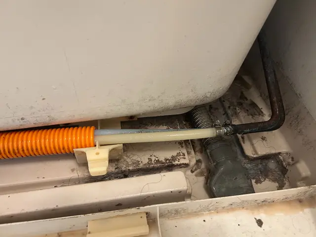 お風呂の水垢、鏡のうろこ落とし、キッチンの油汚れまで徹底的にキレイに致します。サービスの画像