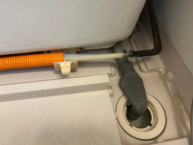 お風呂の水垢、鏡のうろこ落とし、キッチンの油汚れまで徹底的にキレイに致します。サービスの画像