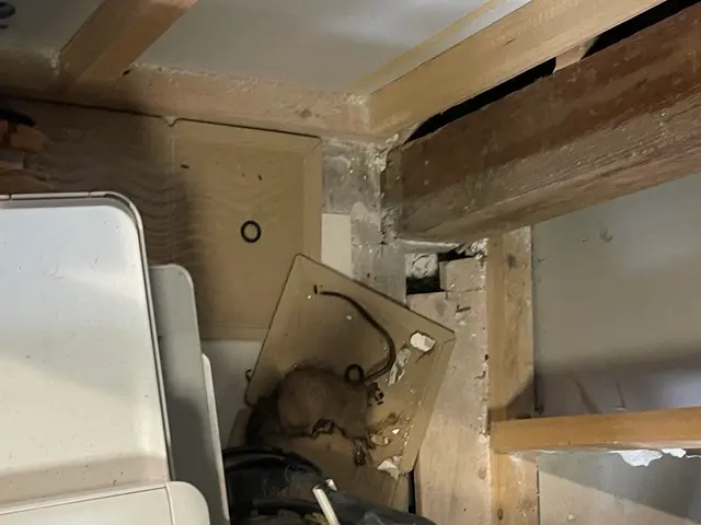 現地調査無料　即日対応可能　害虫駆除の事ならお任せ下さい！サービスの画像