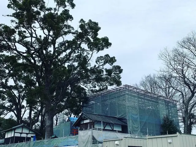 《業界10年/京都、滋賀対応》屋根雨漏り、屋根葺き替え工事はお任せ下さい。サービスの画像