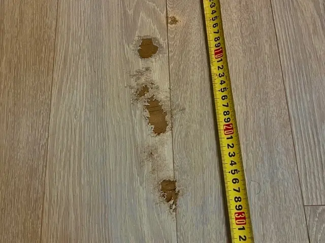 女性店長自らが補修対応します。大手ハウスメーカーや中古物件も多数経験有り。サービスの画像