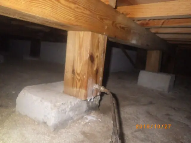 【業歴11年】24時間・年中無休で対応！損害保険加入済み！女性スタッフ同行OK！サービスの画像