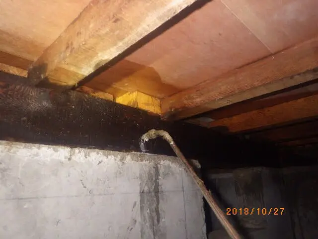 【業歴11年】24時間・年中無休で対応！損害保険加入済み！女性スタッフ同行OK！サービスの画像