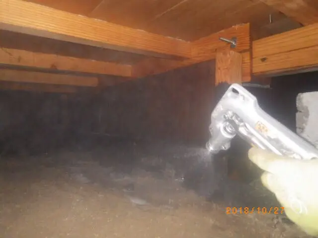 【業歴11年】24時間・年中無休で対応！損害保険加入済み！女性スタッフ同行OK！サービスの画像