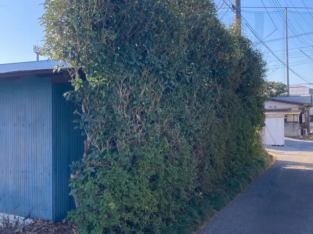 【損害保険加入！】安全・丁寧な作業を心がけております！！サービスの画像