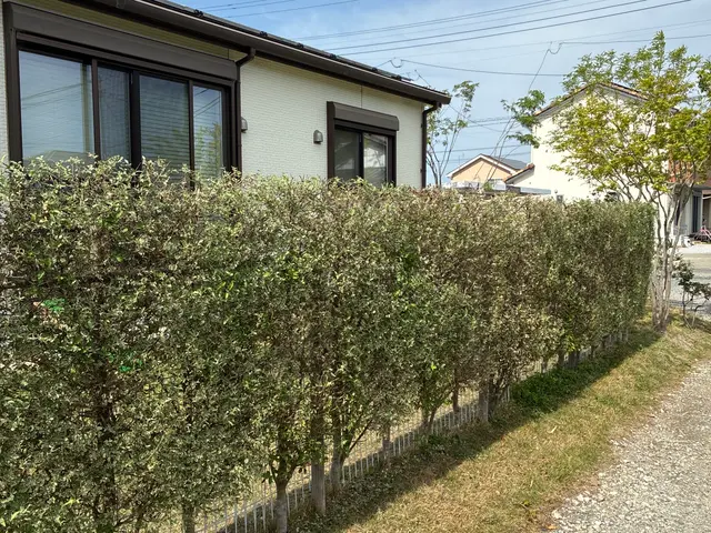【損害保険加入！】安全・丁寧な作業を心がけております！！サービスの画像