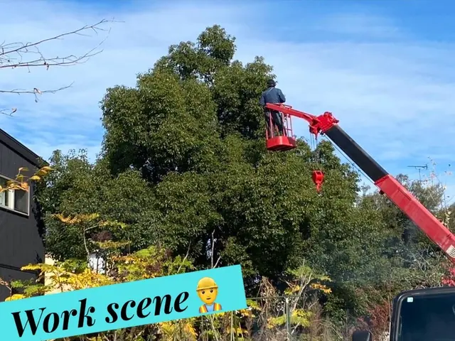 令和7年8月出店◎地域密着50年！ご家族みんなが安心できるように【新潟市発】サービスの画像