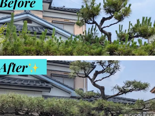 令和7年8月出店◎地域密着50年！ご家族みんなが安心できるように【新潟市発】サービスの画像