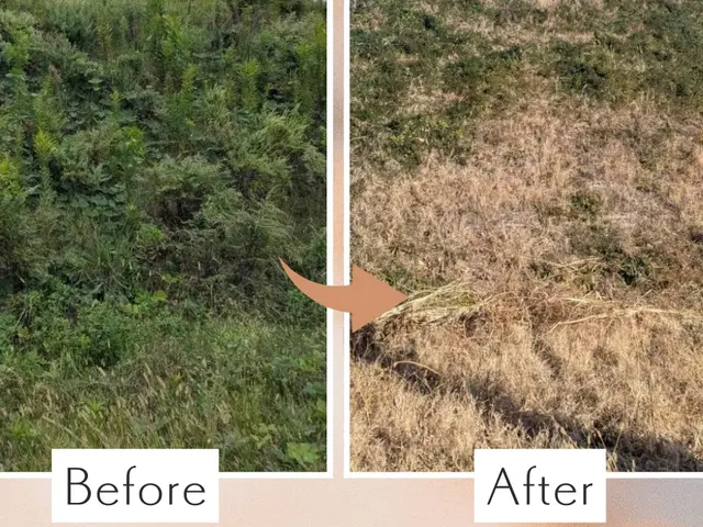 【東京】静かな機械で作業◎官公庁依頼も請け負うプロのパパ店長が訪問します◎サービスの画像