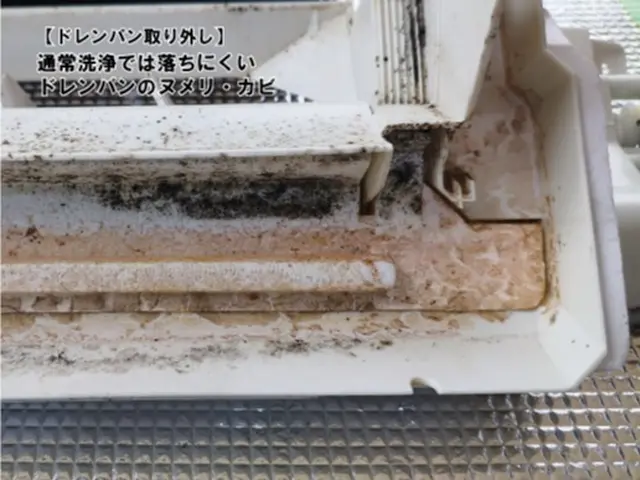 【カビ根絶！選べる分解洗浄】●4月特典・防カビコート無料●複数台割●エコ洗剤使用サービスの画像