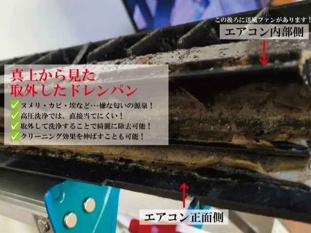 5/17迄！ドレン取外分解込。カビの温床を根こそぎ洗浄！家族とペットの健康を守るサービスの画像