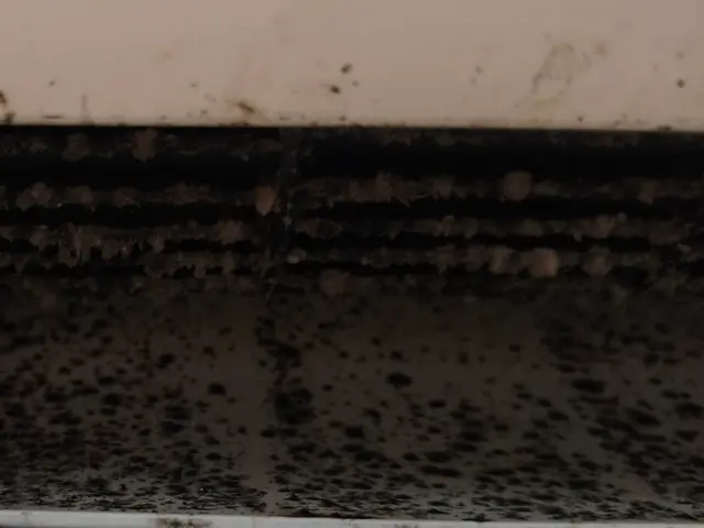 ◉複数台2台以上ご依頼で1台7400円◉価格・品質・安心提供中◉天然エコ洗剤使用サービスの画像