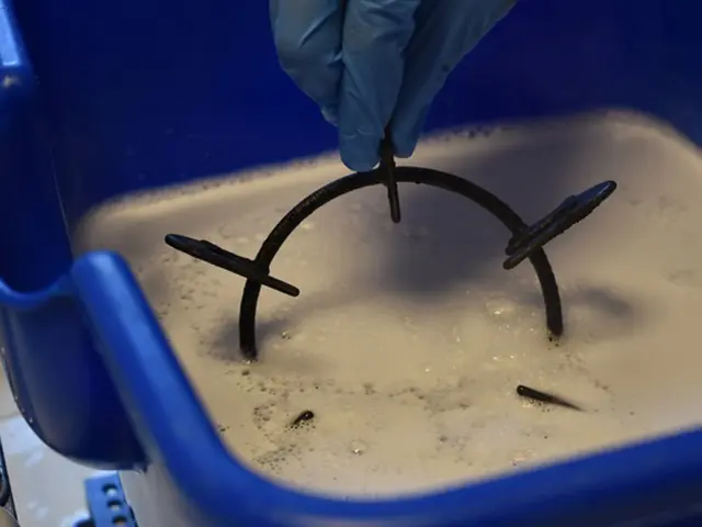 ★キッチンクリーニング★安心エコ洗剤★100%自社対応★安心損保加入★福島県密着サービスの画像