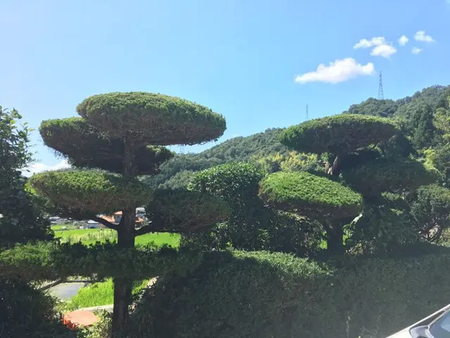 『2級造園施工管理技士』を持った造園のプロが伺います！豊富な経験と知識で安心◎サービスの画像