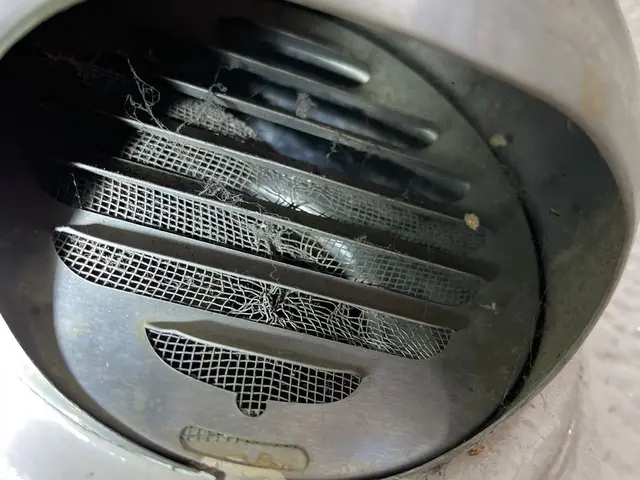 【ネズミ被害ならご相談ください】サービスの画像