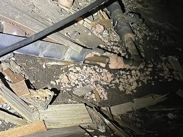 【ネズミ被害ならご相談ください】サービスの画像