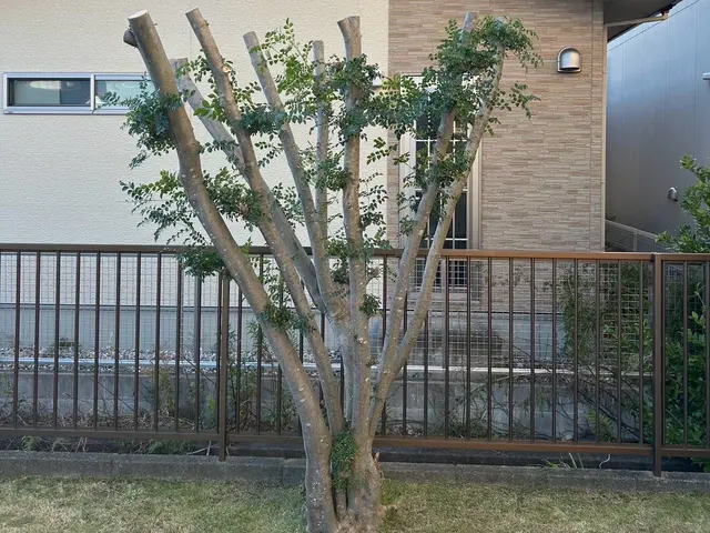 【夫婦経営！】外注一切無★駐車場代店負担★伐採､抜根お任せください。サービスの画像