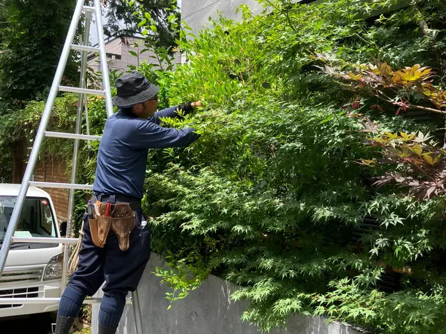 業界歴19年！1級造園技能士☆木の健康を保つ自然剪定！サービスの画像
