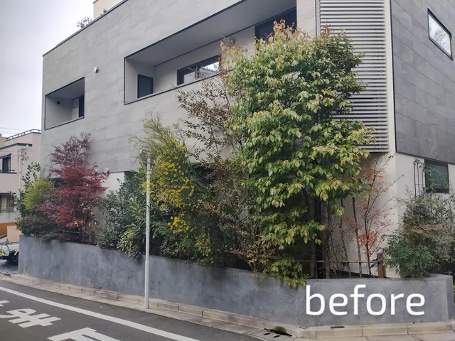 業界歴19年！1級造園技能士☆木の健康を保つ自然剪定！サービスの画像