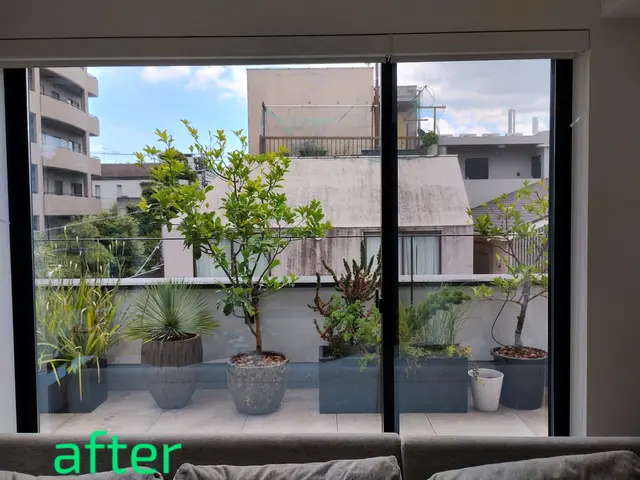 業界歴19年！1級造園技能士☆木の健康を保つ自然剪定！サービスの画像