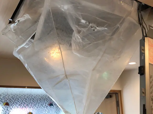 家ピカ本舗の加盟店◎年間1000件以上の作業実績◎損害保険加入◎創業１２年以上サービスの画像