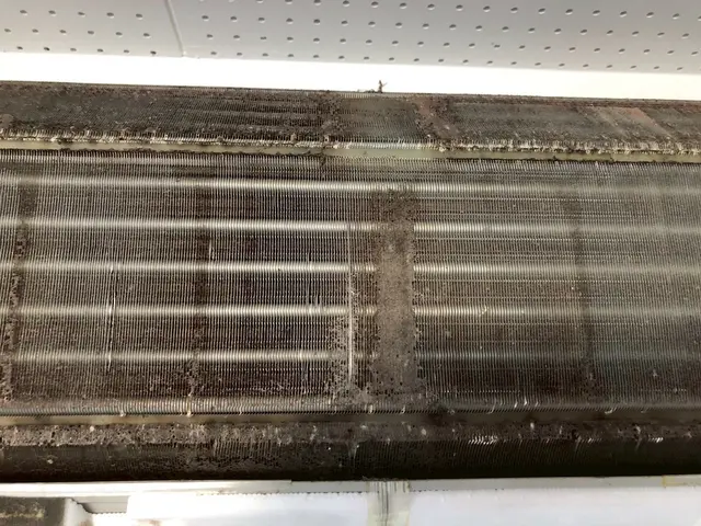 ◇出店キャンペーン◇業界実績5年以上★抗菌無料★4月11日18日22日25日空有サービスの画像