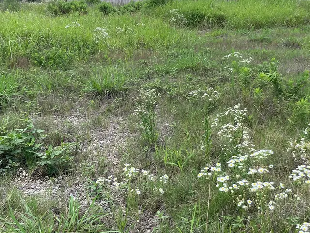 私がお伺いします！お庭や畑、宅地等をご要望をお聞きして迅速に対応　安心の評価サービスの画像