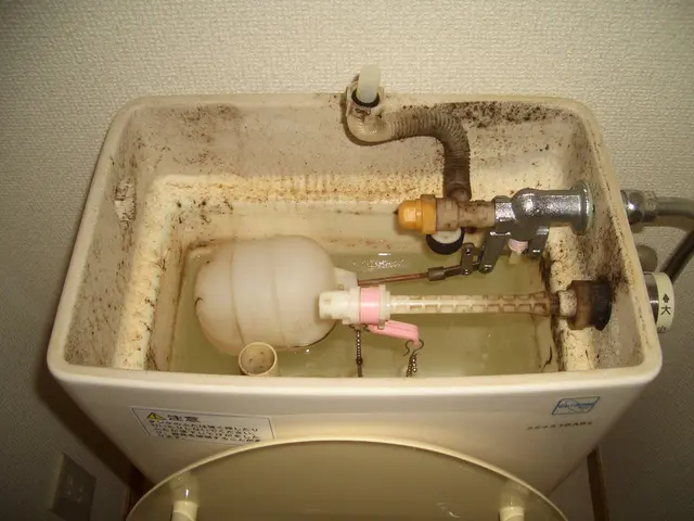 トイレ内清掃は当店へ  尿石汚れもお任せサービスの画像