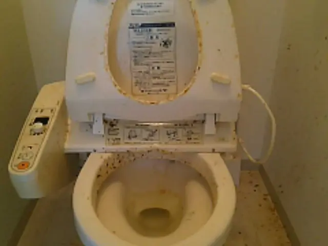 トイレ内清掃は当店へ  尿石汚れもお任せサービスの画像