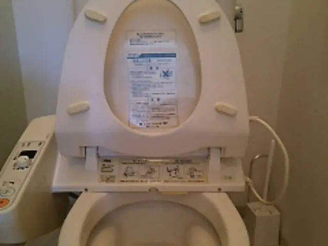 トイレ内清掃は当店へ  尿石汚れもお任せサービスの画像