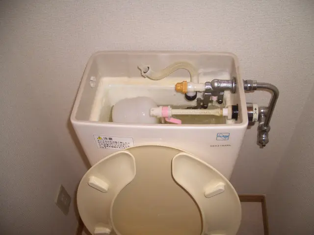 トイレ内清掃は当店へ  尿石汚れもお任せサービスの画像