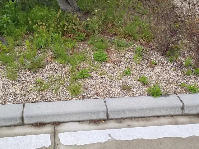 北葛城郡上牧町発【業歴20年の経験と実績！】作業外注なし！駐車代お店負担！サービスの画像