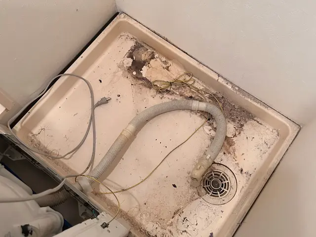 大好評《洗濯機分解徹底洗浄》★日立ビートウォッシュ11，12キロも大歓迎★サービスの画像